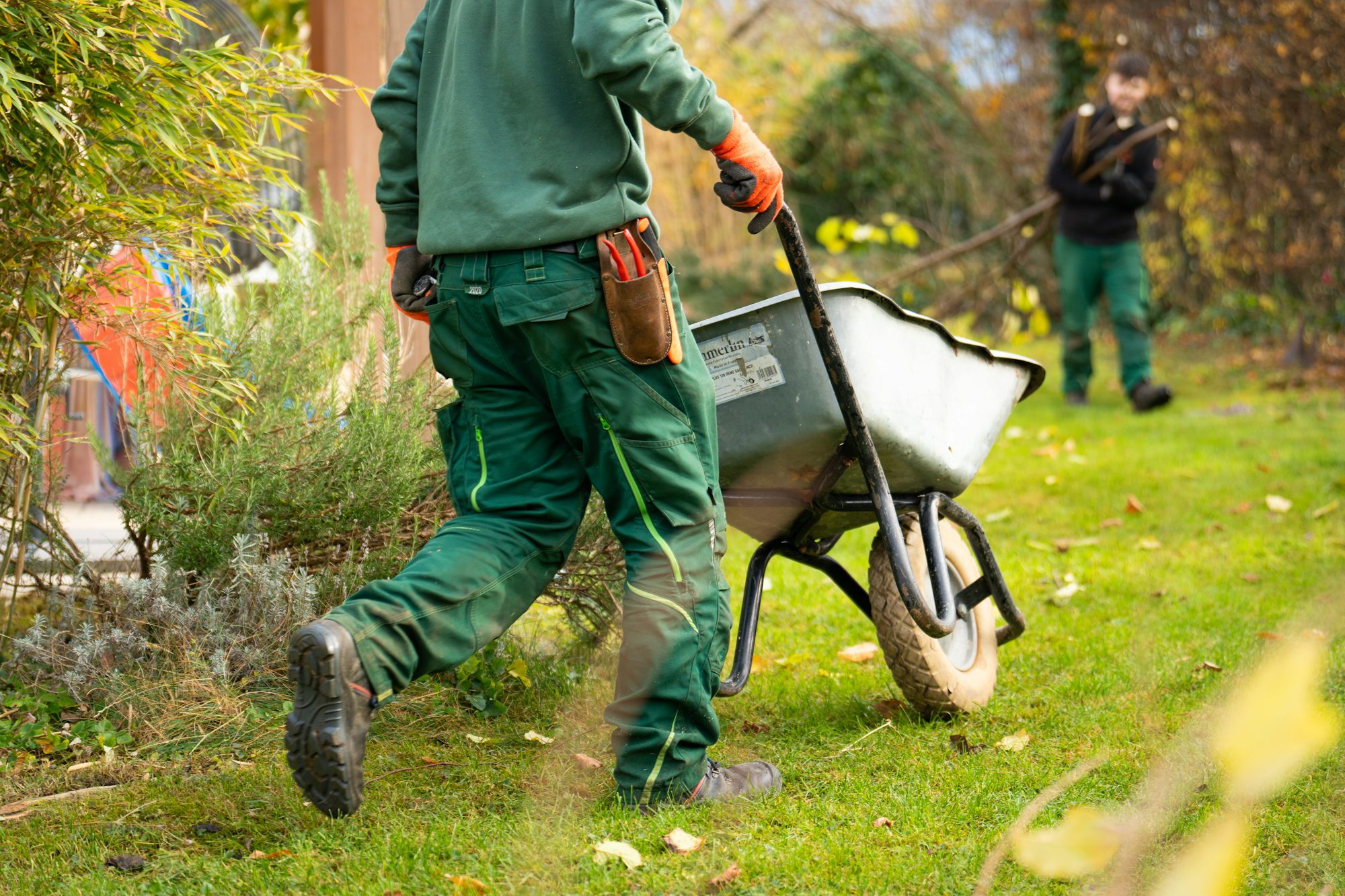 I will design and plant garden beds