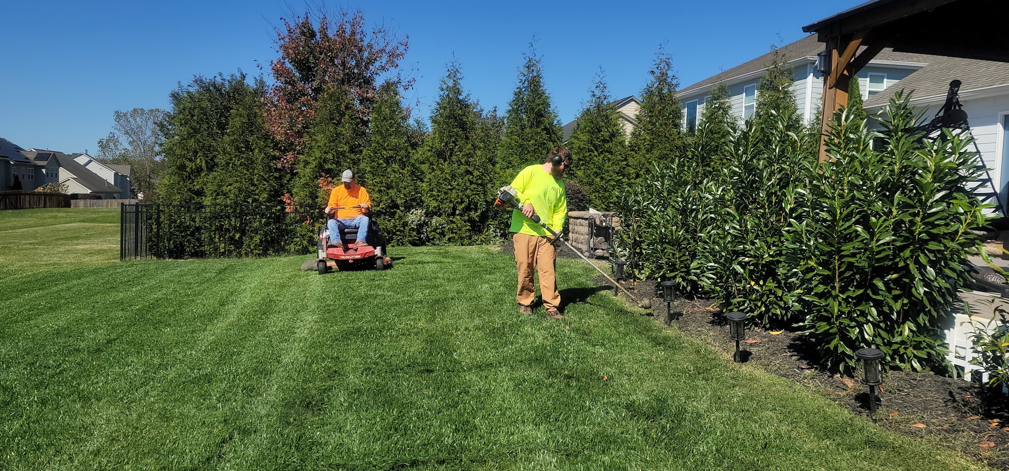I will design and plant garden beds